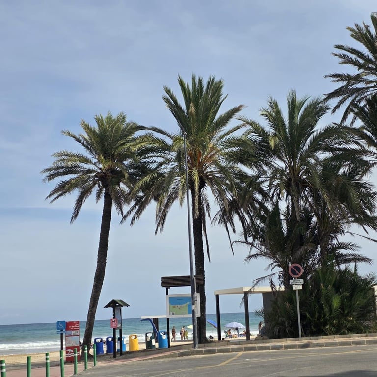 Apartment in Dehesa de Campoamor