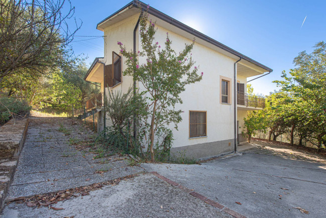 House in Arce