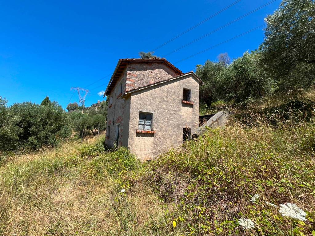 Villa in Pietrasanta - Image 3