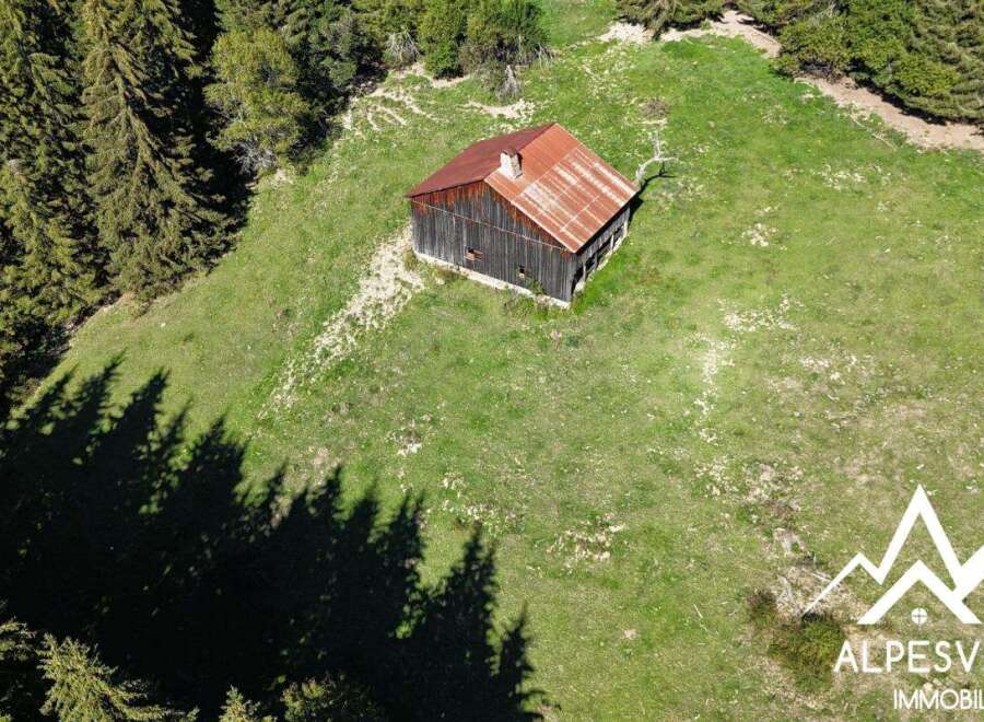 House in Onnion