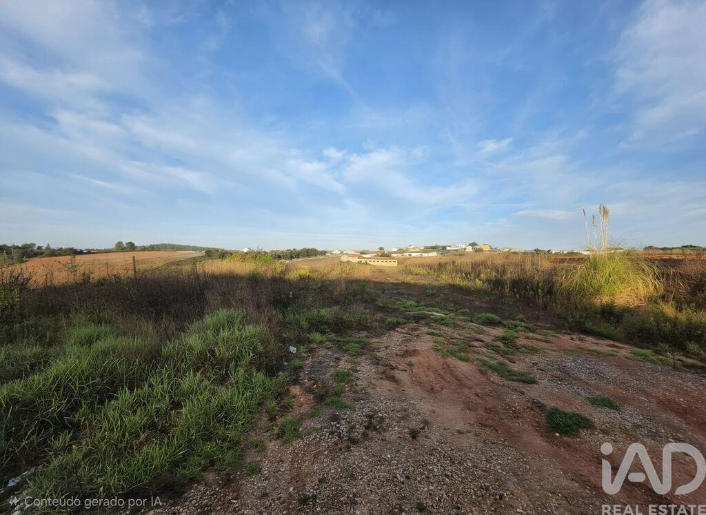 Land in Valbom - Image 2
