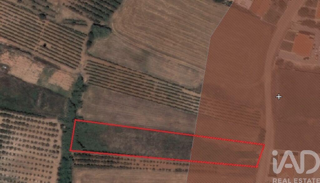 Land in Valbom - Image 3