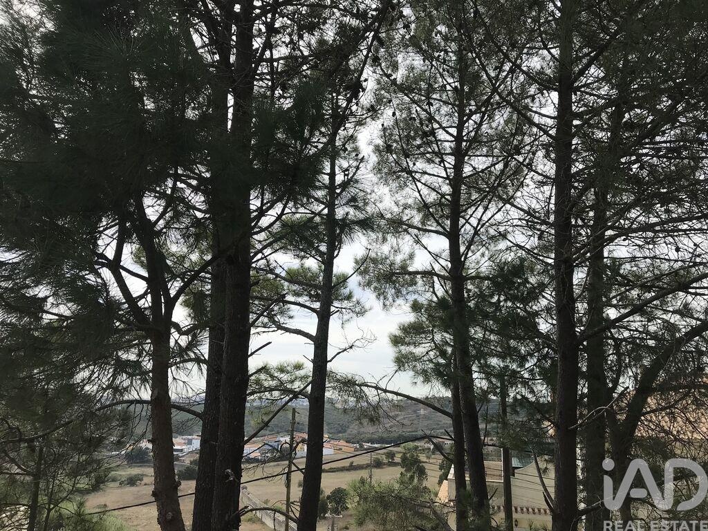Land in Canecas - Image 3