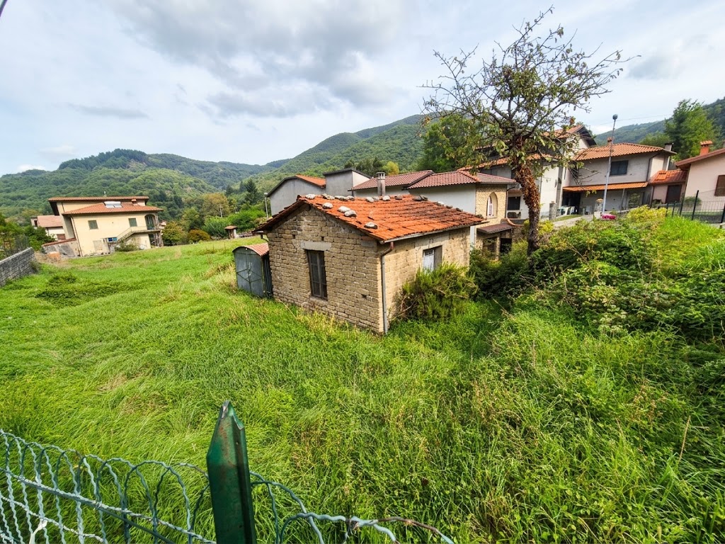 House in Minucciano - Image 2