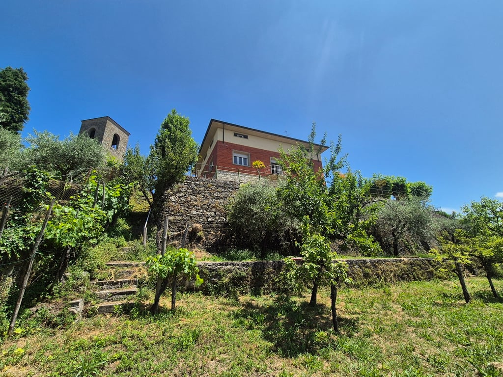 House in Villa Collemandina - Image 3