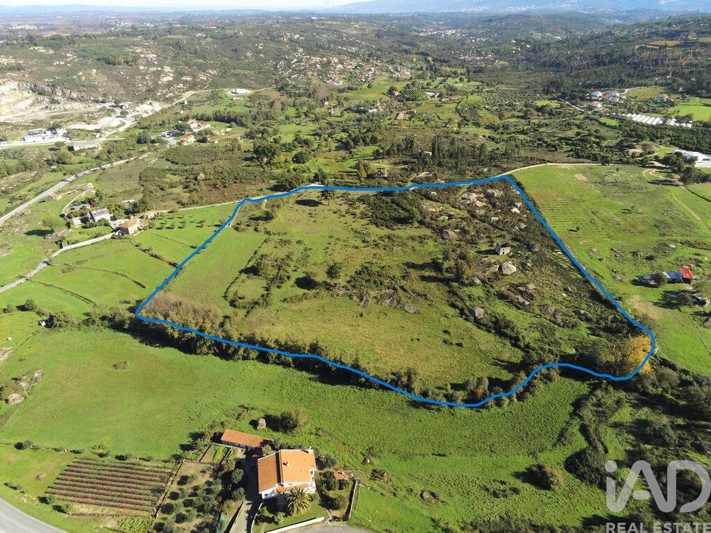 Farm, Ranch or Equestrian in Lagos da Beira - Image 2