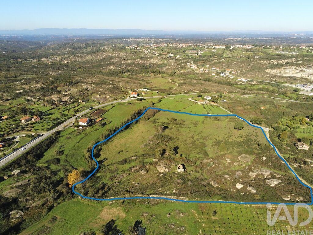 Farm, Ranch or Equestrian in Lagos da Beira - Image 3