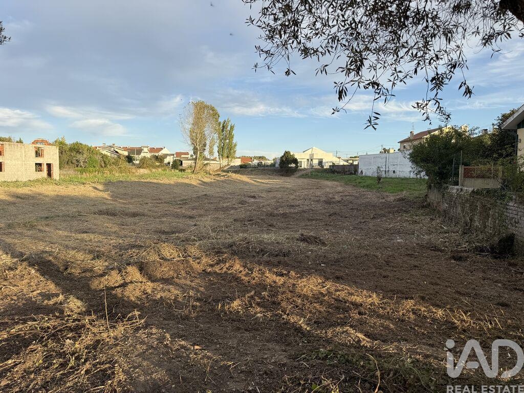 Land in Ilhavo (Sao Salvador)