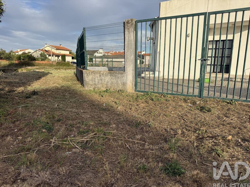 Land in Ilhavo (Sao Salvador) - Image 2
