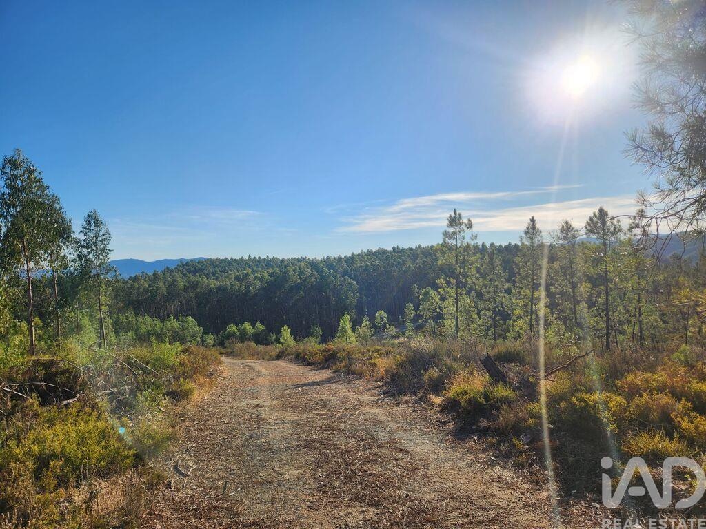 Land in Sarzedas - Image 2