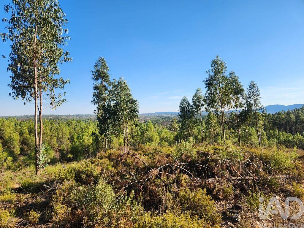 Land in Sarzedas - Image 3