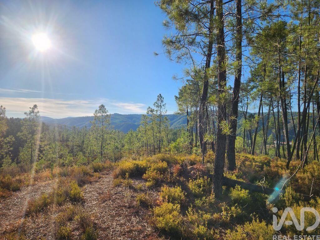 Land in Sarzedas