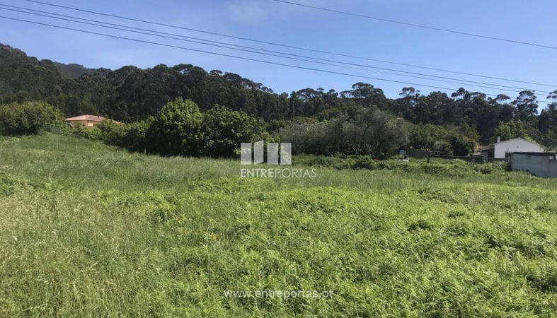 House in Afife - view 1