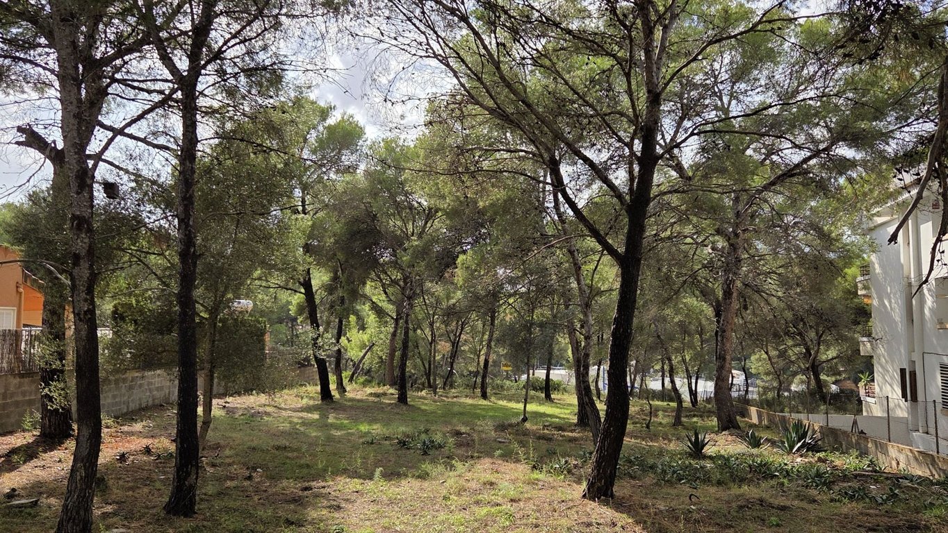 Land in Santa Ponsa