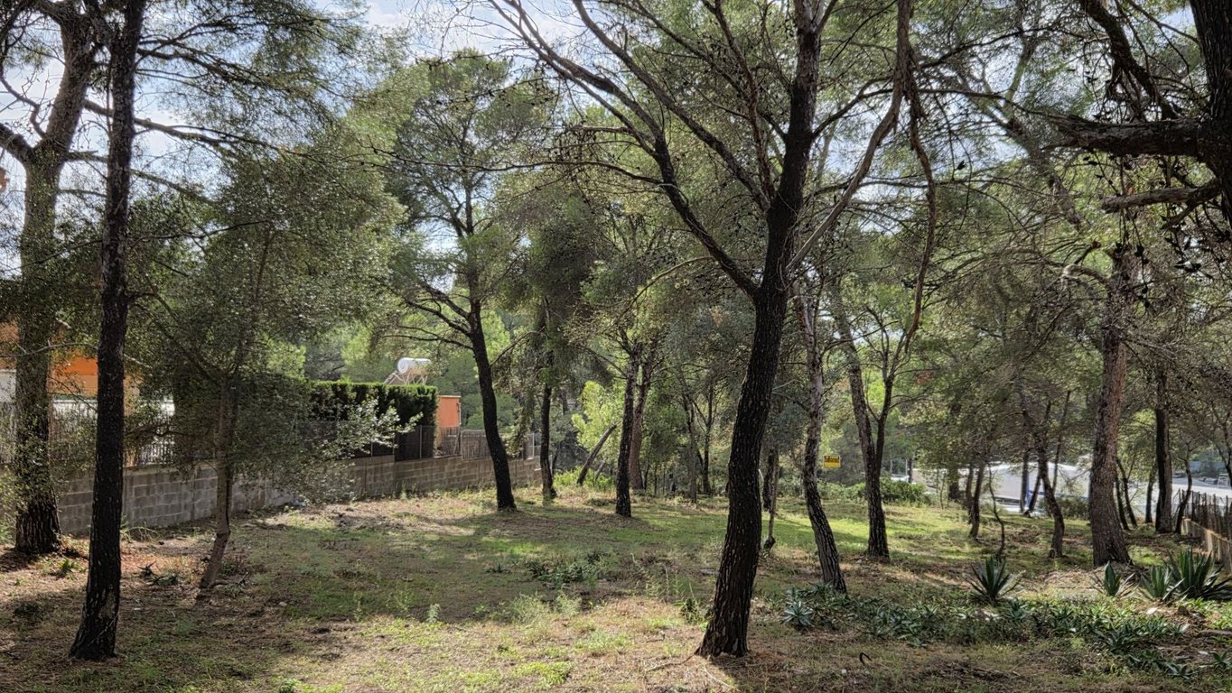 Land in Santa Ponsa - Image 3