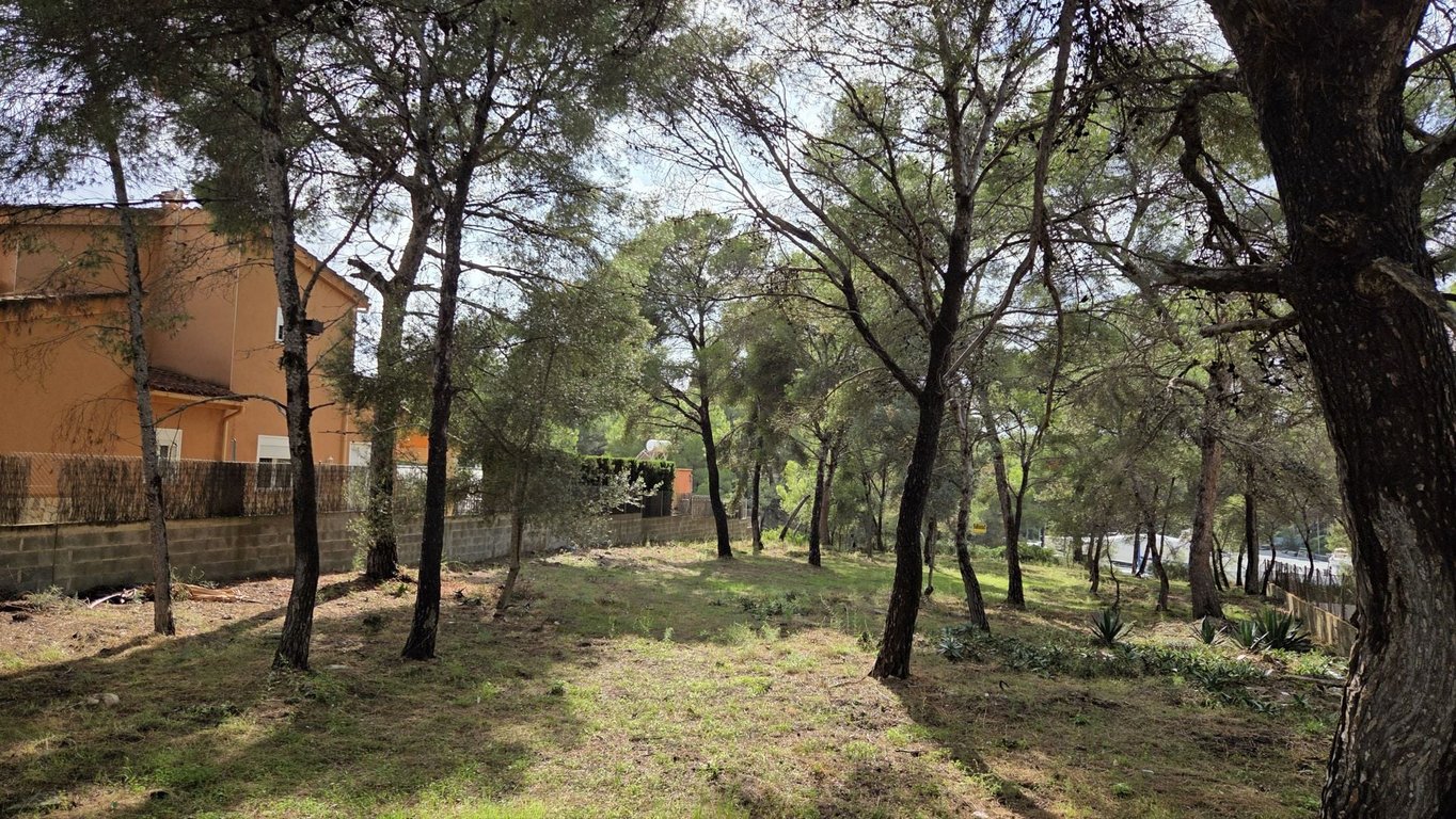 Land in Santa Ponsa - Image 2