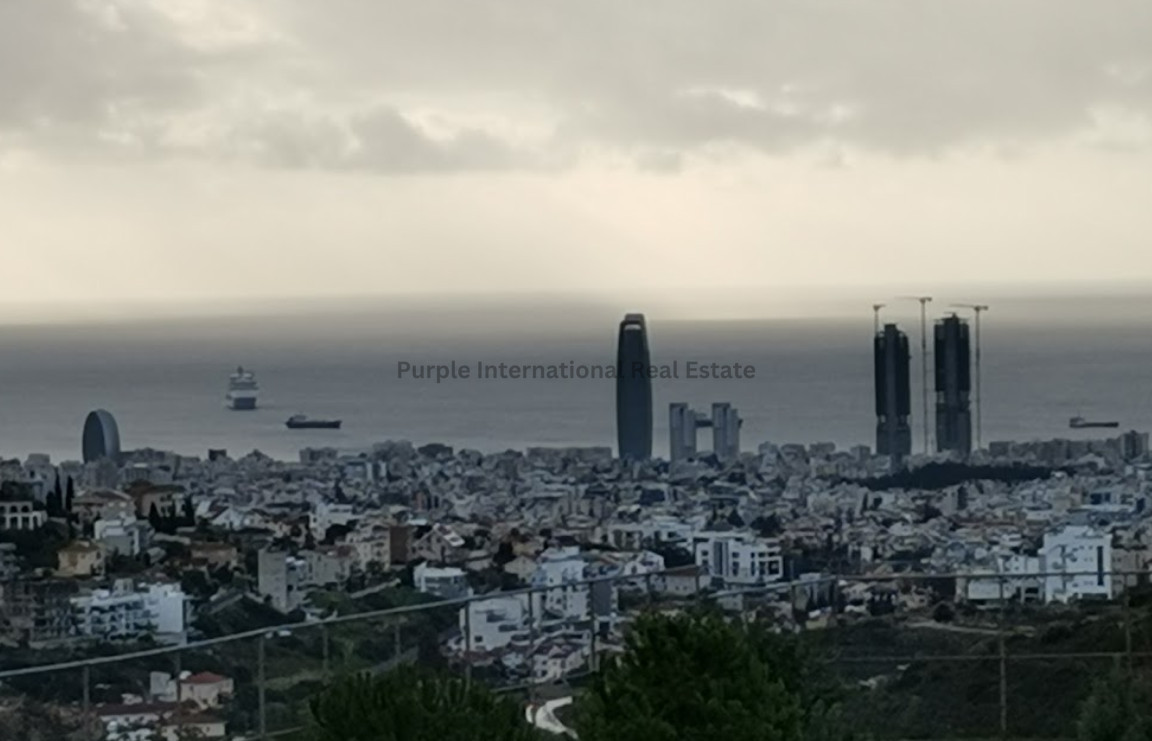 Land in Agia Fylaxis - Image 2