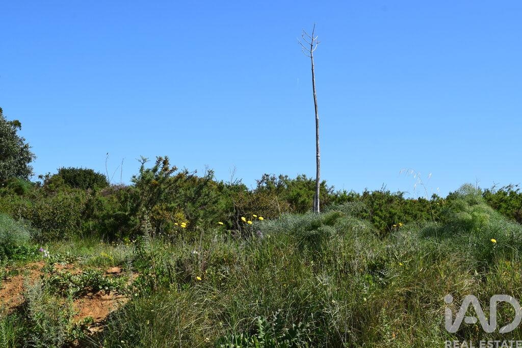Land in Carnota - Image 3