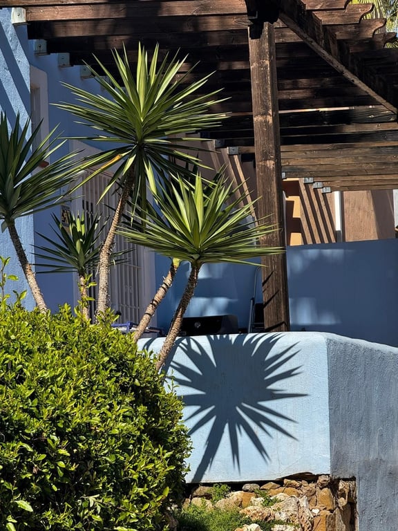 House in Nueva Andalucia - Image 3