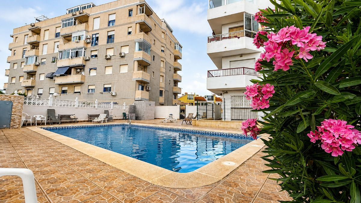 Apartment in Torrevieja