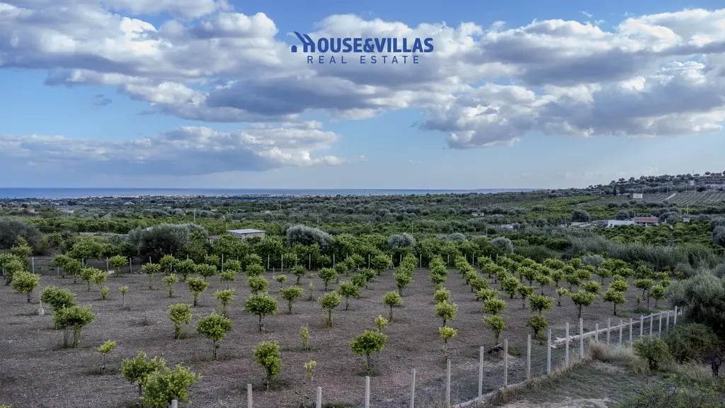 Land in Avola - Image 3