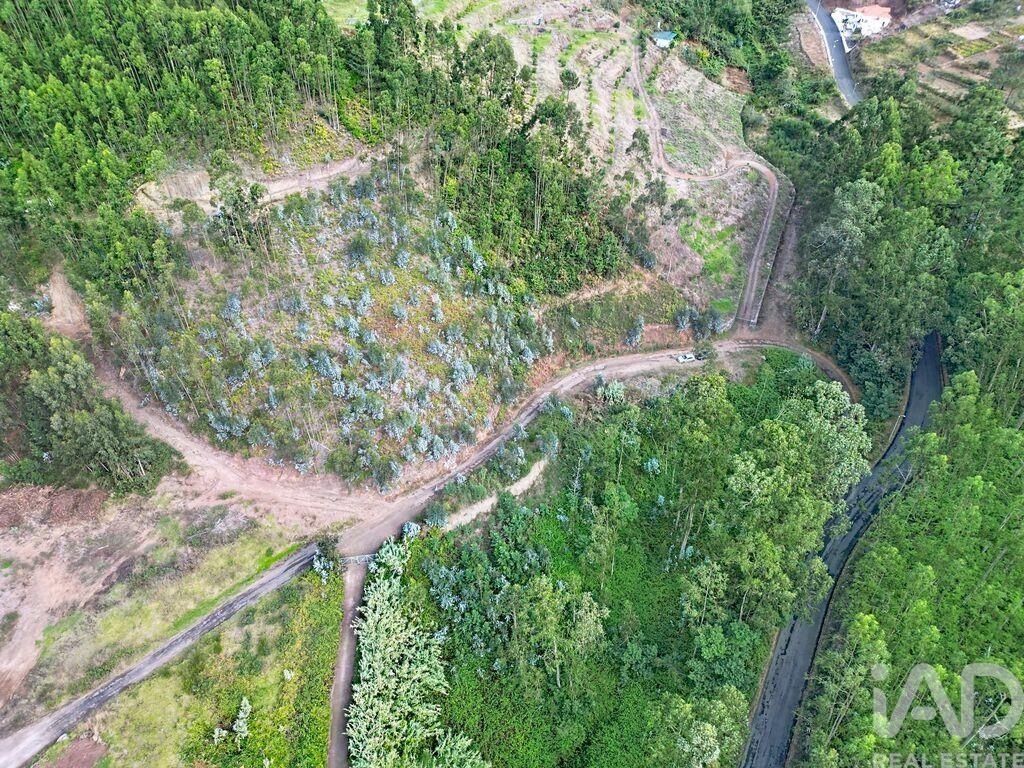 Land in Campanario - Image 2