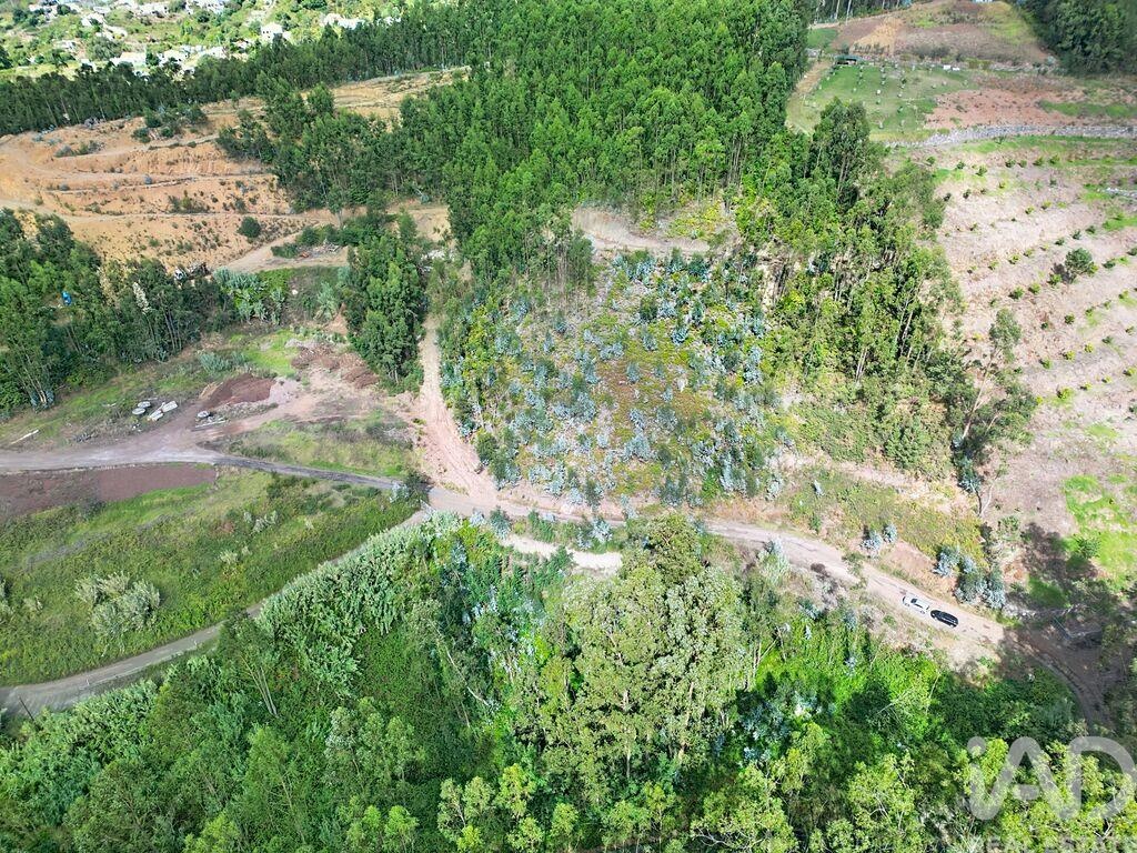 Land in Campanario