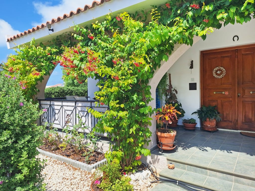 House in Kissonerga - Image 3