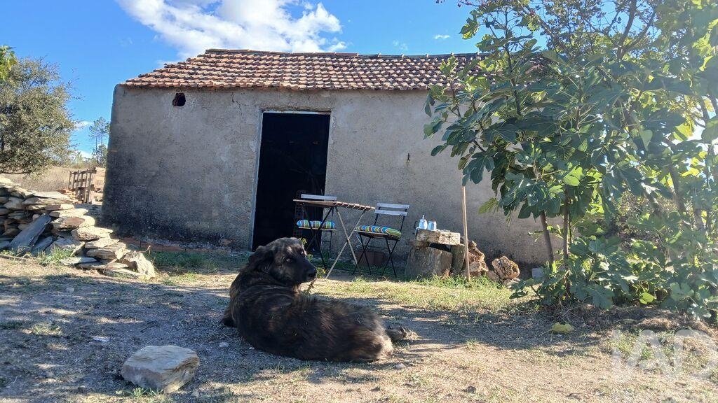 Land in Sarzedas