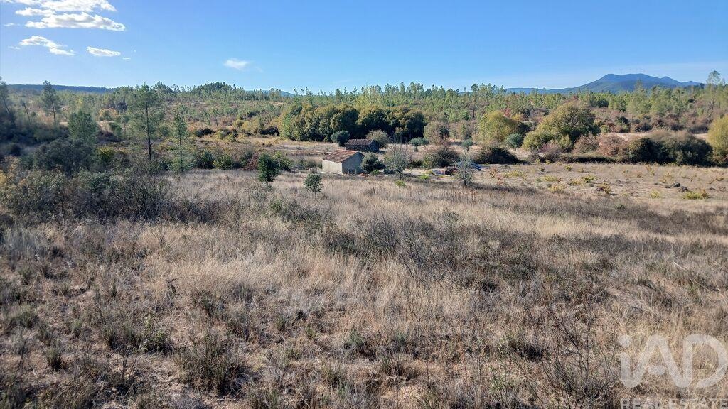 Land in Sarzedas - Image 2