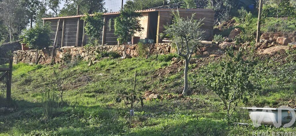 Land in Boliqueime - Image 2