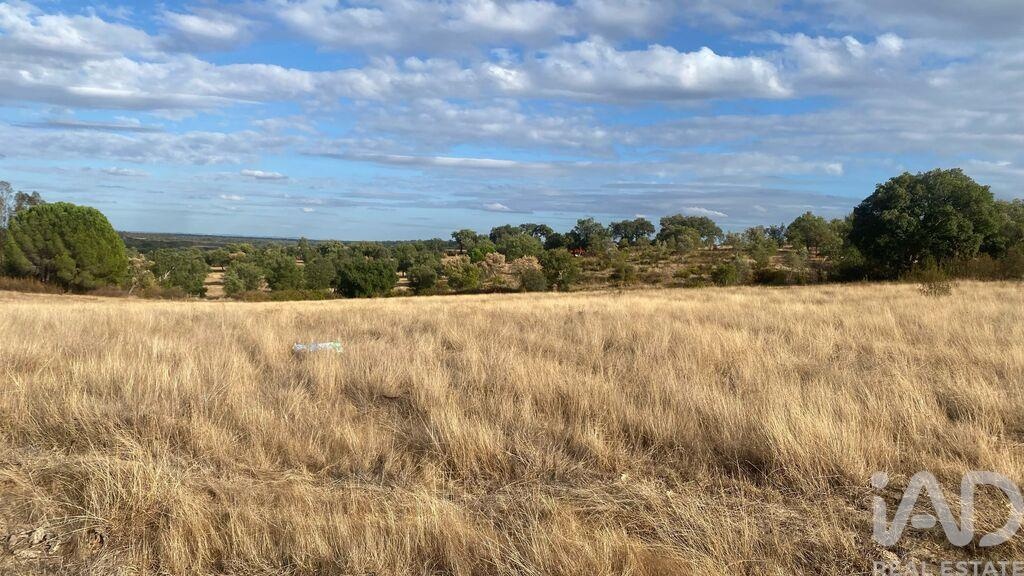 Land in Galveias - Image 3