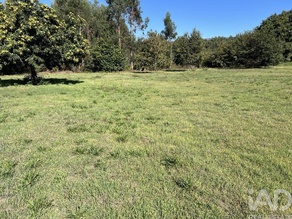 Land in Serrazes - Image 3