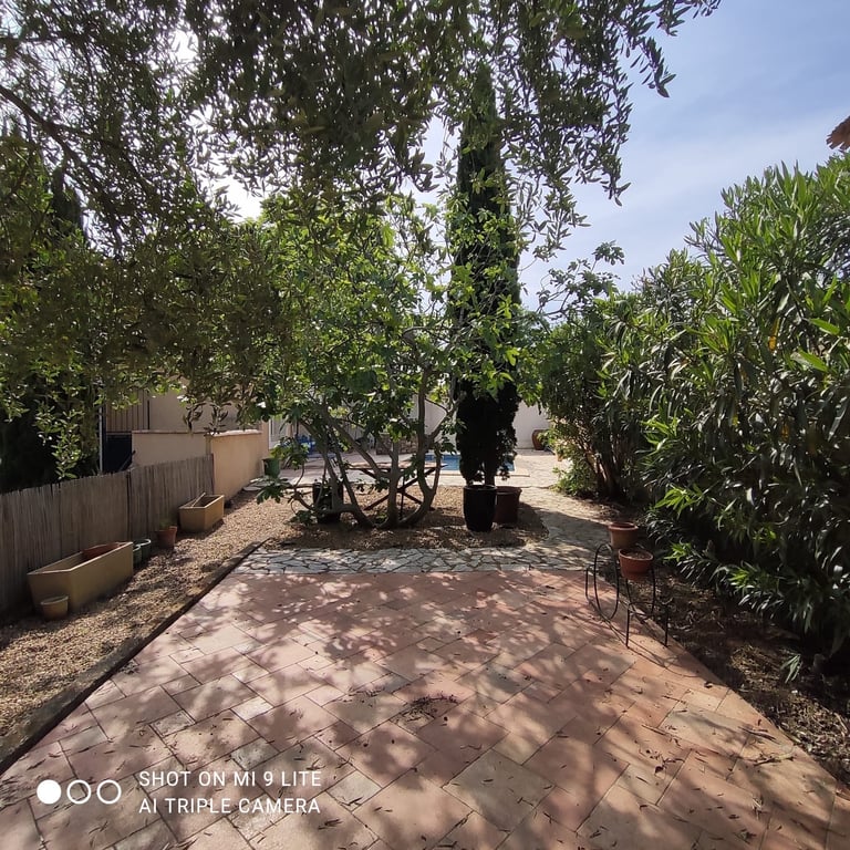 House in Magalas - Image 3