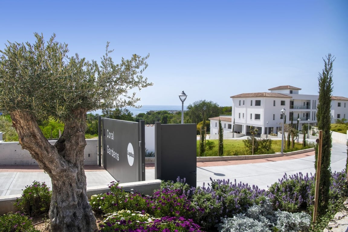Apartment in Pegeia - Image 2