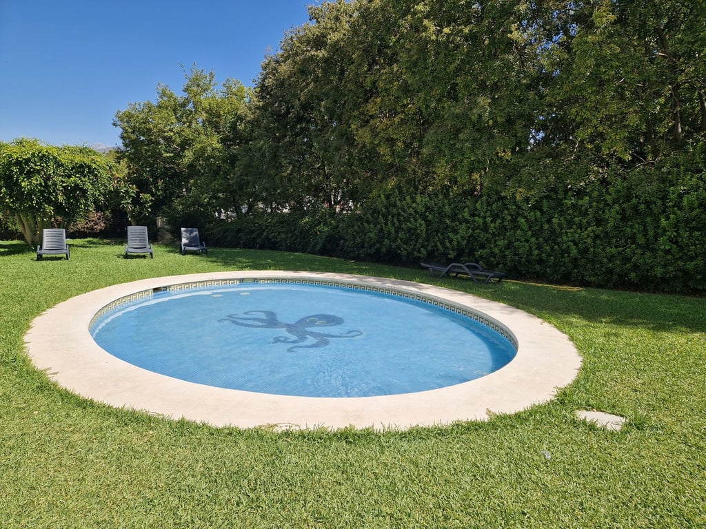 Apartment in Nueva Andalucia - Image 2