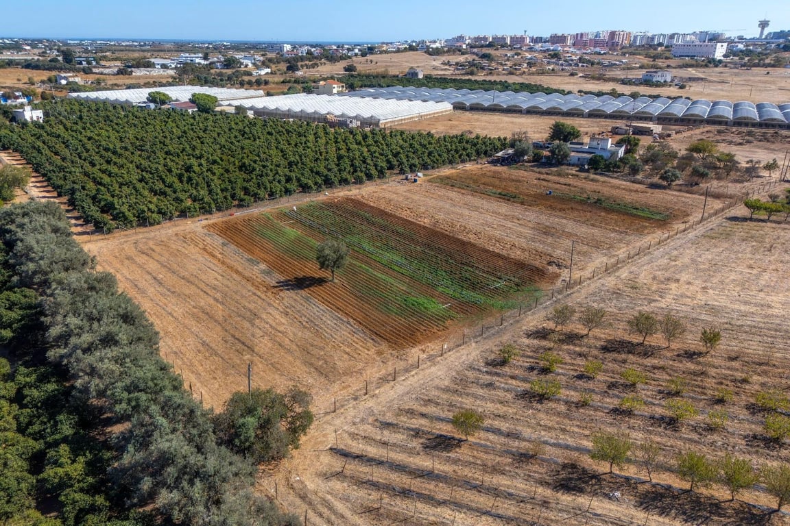 Villa in Faro - Image 2