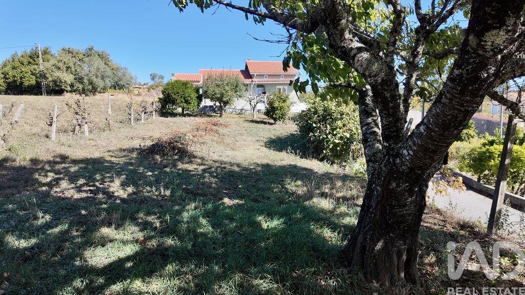 House in Figueiro Dos Vinhos