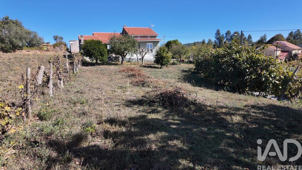 House in Figueiro Dos Vinhos - Image 3