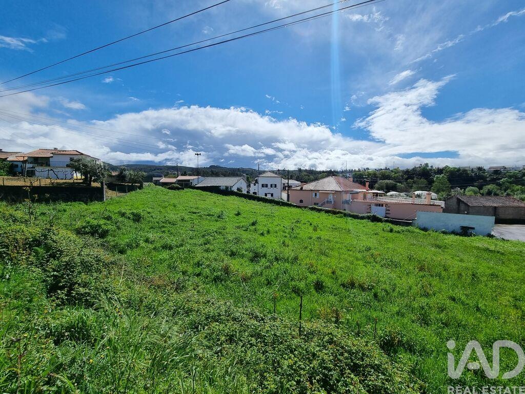 Land in Vila Nova de Poiares - Image 3