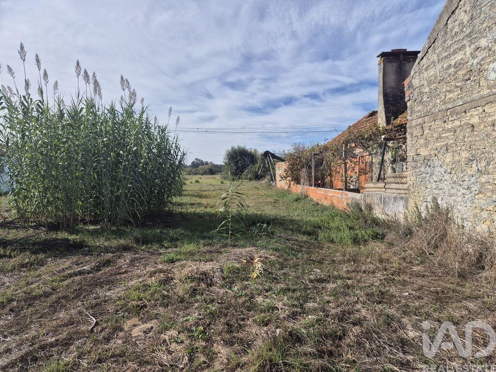 Land in Ponte de Vagos - Image 3