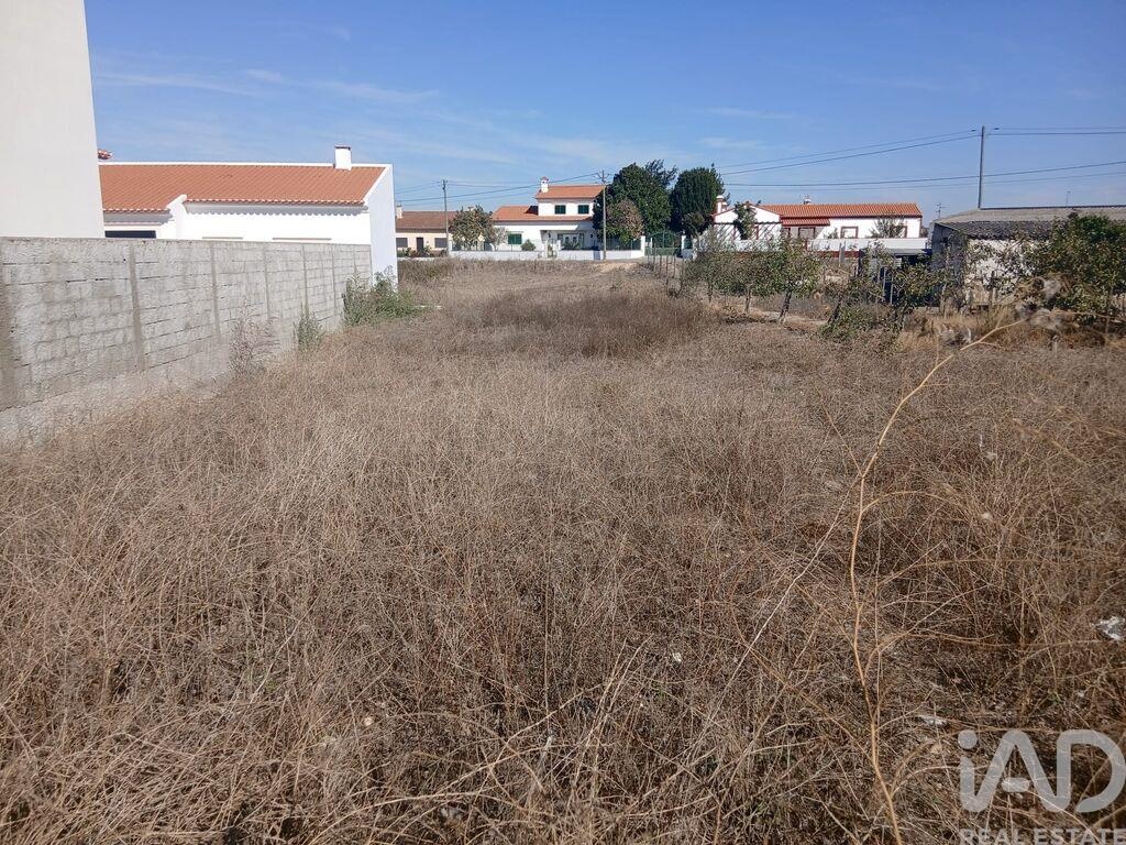 Land in Fazendas de Almeirim - Image 3