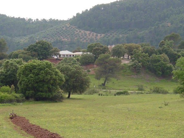 House in Albacete - view 1
