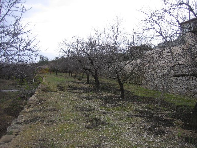 Farm, Ranch or Equestrian in Benissanet - Image 3