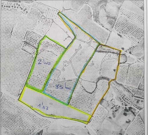 Land in Pinoso - view 1