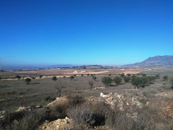 Land in Torre del Rico - view 1