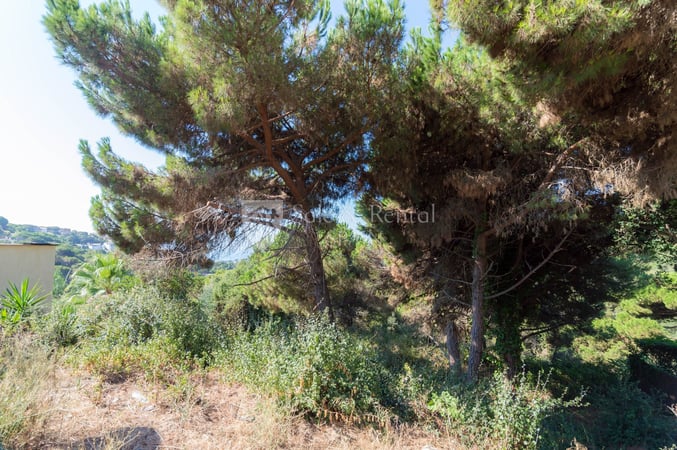 House in Girona - view 1