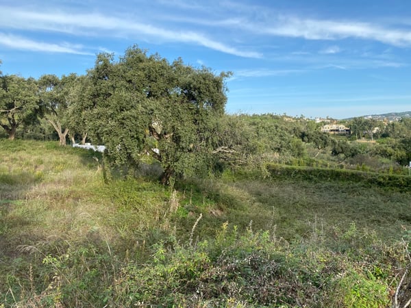 House in San Roque - view 1