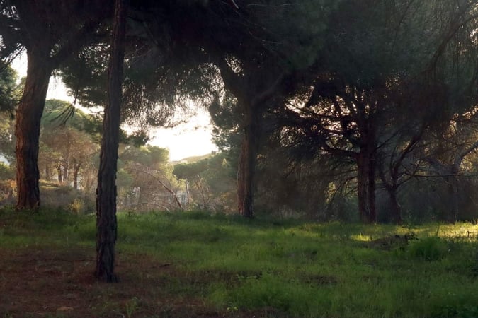 House in Faro - view 1