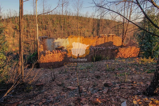 House in Silves - view 1